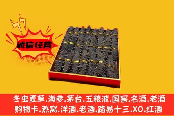 碌曲县回收海参